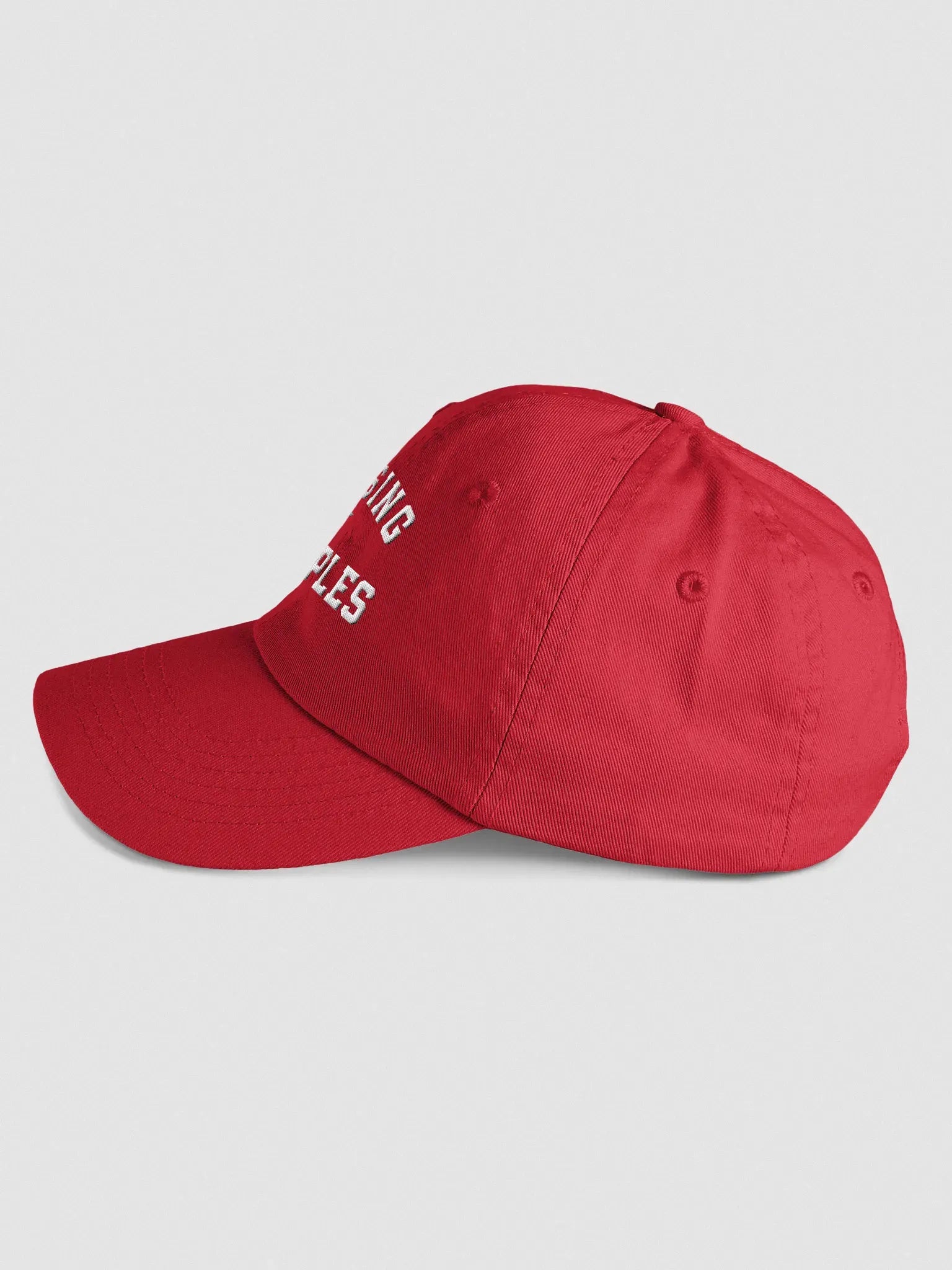 Raising Disciples Dad Hat